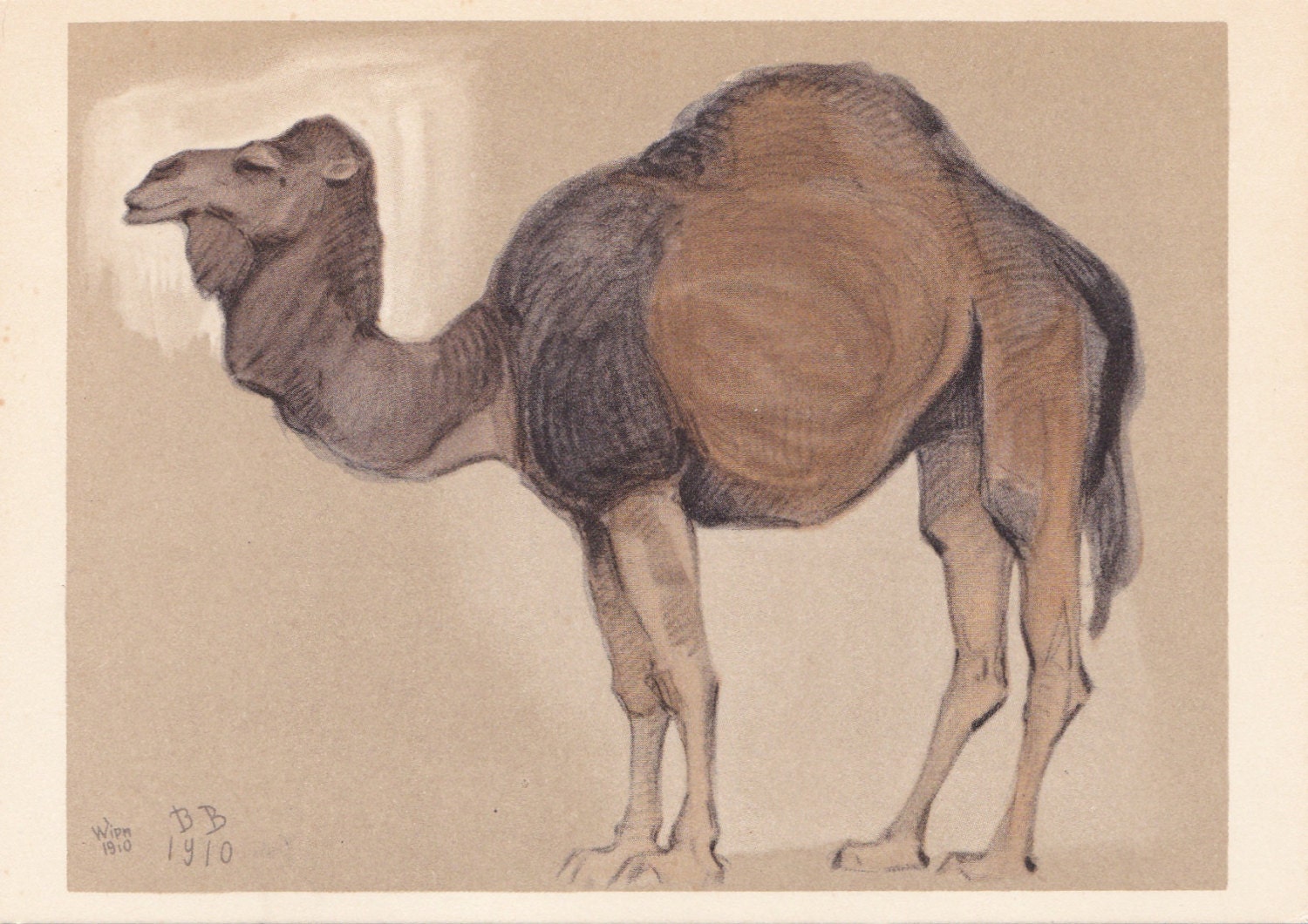 Vintage Vatagin (Camel) Print no.2 - 1961. Soviet Artist