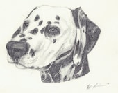 Sketch From Your Photo - 8 x 10 inch Custom Portrait - Pet or Person