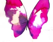 bright pink butterfly with white. original watercolor painting