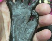 Monkey Paw Genuine Taxidermy LUCKY LUCKY LUCKY