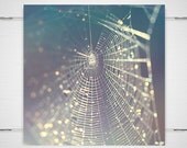 Spiderweb Photograph Macro - 8x8 photography print - pastel dew woodland fantasy purple blue gray environment eco 'Glitter Trap'