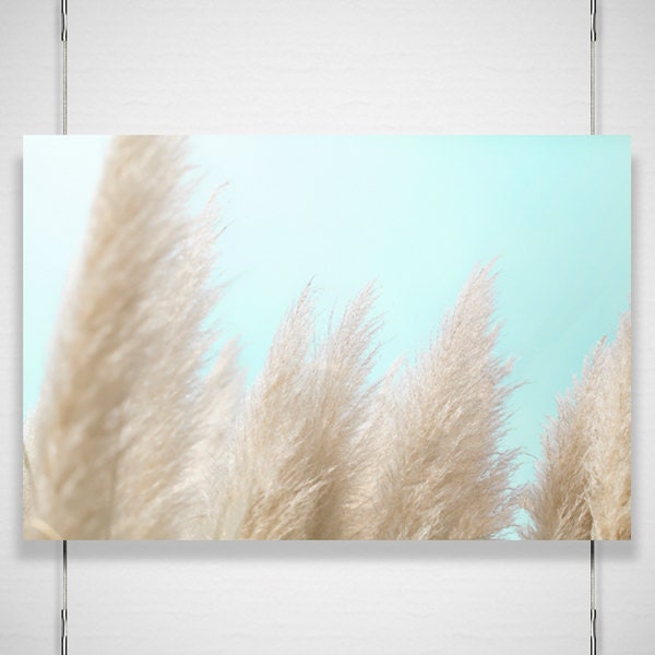 Beach Botanical Photography / cream aqua white / calming shabby chic beach cottage decor fine art / 8x12 photograph print / "Feather Skies"