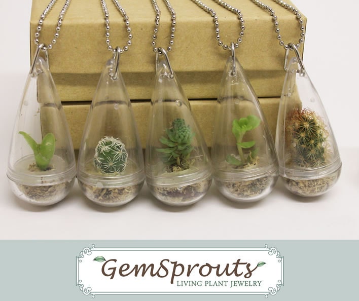 Wearable Plant - Secret Suprise Droplet GemSprout Pendant