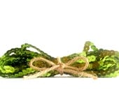 Green Sequin Trim (4.3yards)