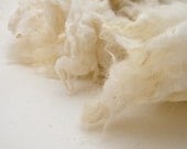 Hill Radnor Fleece- Rare Breed Washed Fleece, 100g 3.5oz