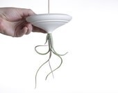 Hanging Air Planter - Fine Porcelain - Handmade Planter - Tillandsia Air Plant