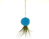 Bright Turquoise Hanging Air Plant Container Pod with Stricta Air Plant