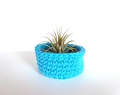 Air Plant Container Bowl in Bright Turquoise