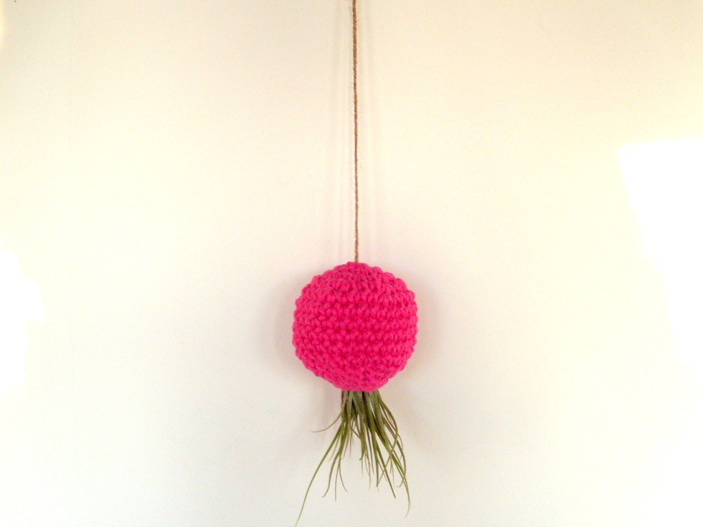 Hanging Container For Kolbii Air Plant - Hot Pink