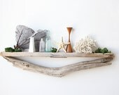 Gorgeous Large Sculptural Natural Driftwood Shelf