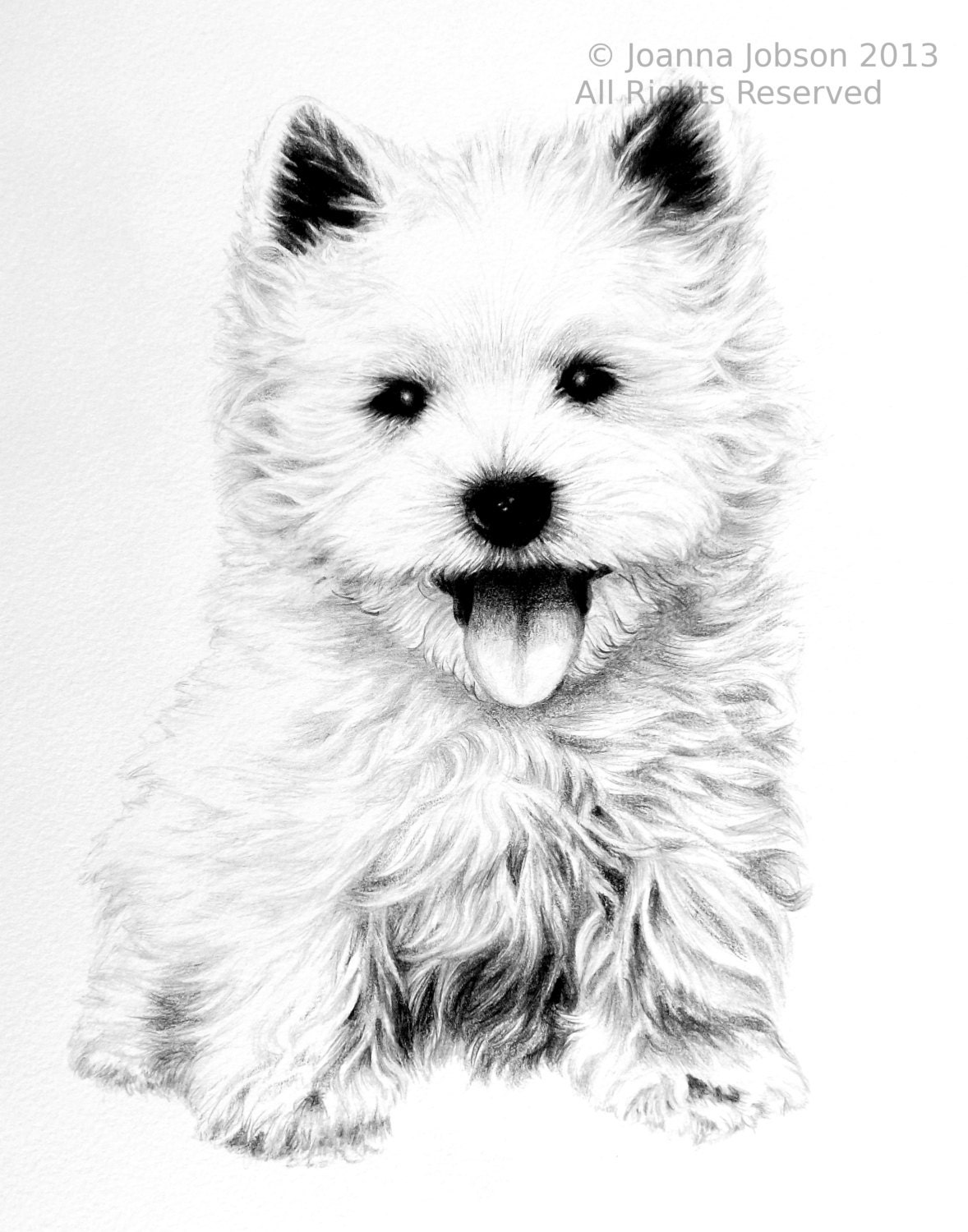 Pet Pencil Portraits