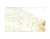 One Sheet 3x5" Mica