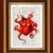 Red Octopus print Dictionary, book page print antique illustration, Wall hanging, nautical decorative arts home decor coastal living