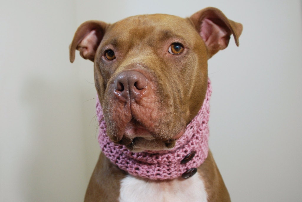 Dog Cowl Pink Crochet with Buttons for Large Breed Dogs