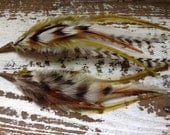 WHEATGRASS /  Feather Earrings - Natural Premium Rooster, Grizzly Feathers, Long - Boho, Bohemian, Gypsy, Tribal, Summer, Festival