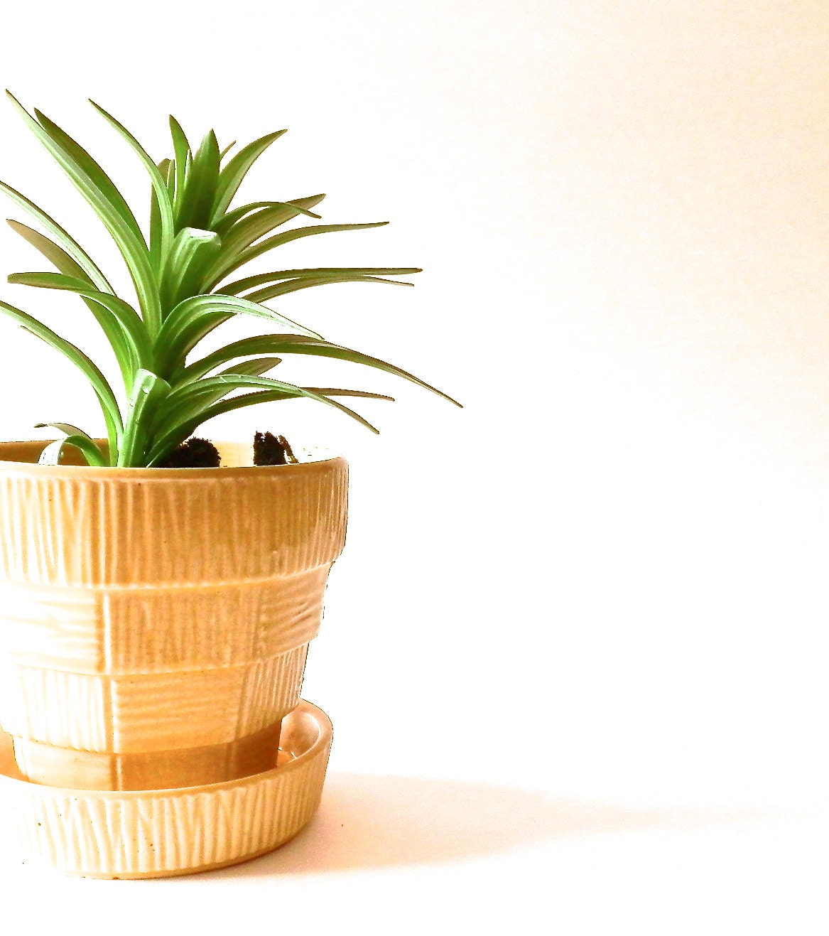 Vintage McCoy Pottery Planter Yellow Flower Pot Ceramic Pottery Basketweave Mid Century Home Decor