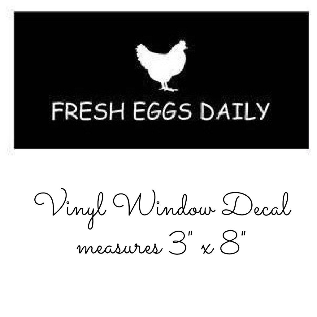 Fresh Eggs Daily Chicken Hen White Vinyl Car Window Sticker Decal