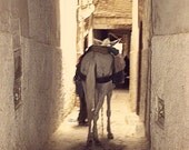 Travel photography lone horse Fes Medina Morocco street photography culture Islam white yellow soft light tail 10x8 fine art photo