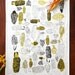 Morels Tea Towel - Gold