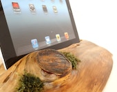 Dock for iPad1 / iPad2 / iPad3 / iPad4 / iPad mini  - Live evergreen docking station made from wood and moss - can serve as holder / stand