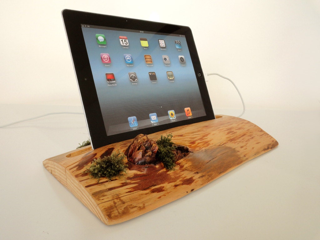 Live evergreen dock for iPad1 / iPad2 / iPad3 / iPad4 / iPad mini  -  docking station made from wood and moss - can serve as holder / stand
