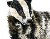 Original A3 Badger "Truffle"  Mixed Media Painting
