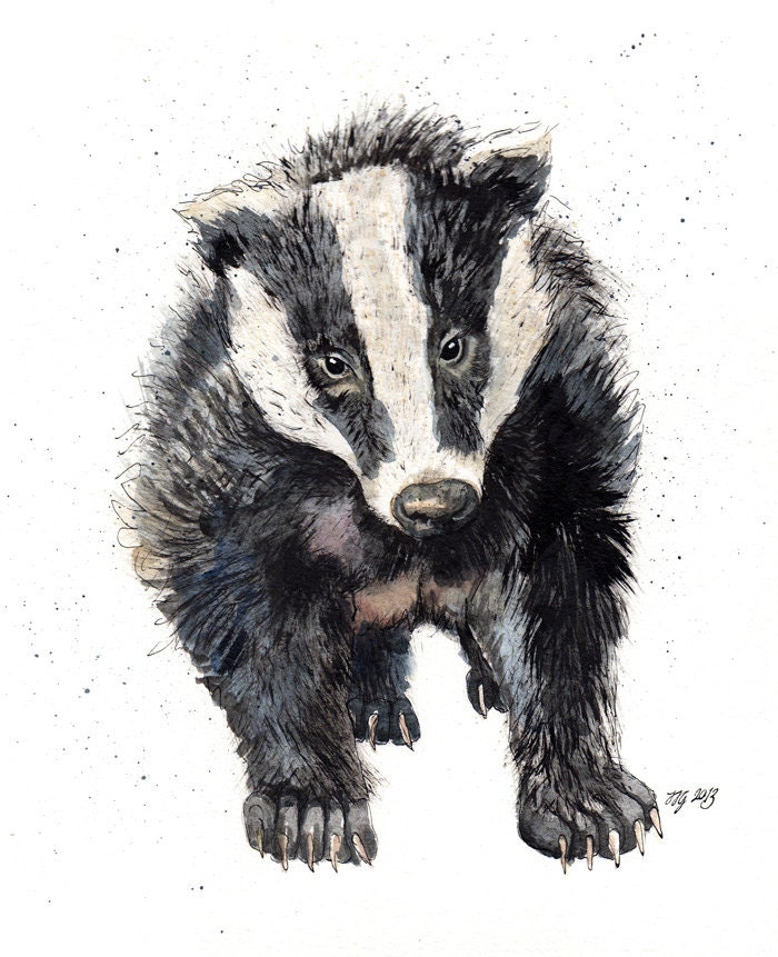 Original A3 Badger "Humbug"  Mixed Media Painting