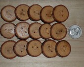 sassafras buttons