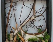 Framed Canoe Woodland Scene - Birch Bark Canoe, Paddles, Birch Twigs, Shadow Box, Urban Rustic