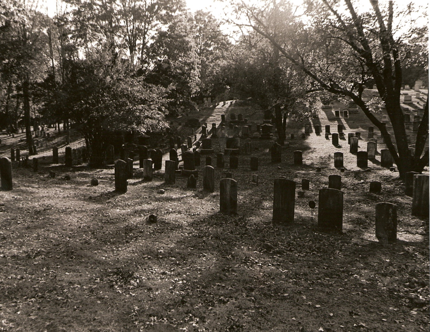 Cemetery Graveyard gravestones graves hills New York Art Print Photograph Halloween