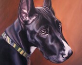 Custom Pet Portrait - Great Dane - Oil Painting - 11x14