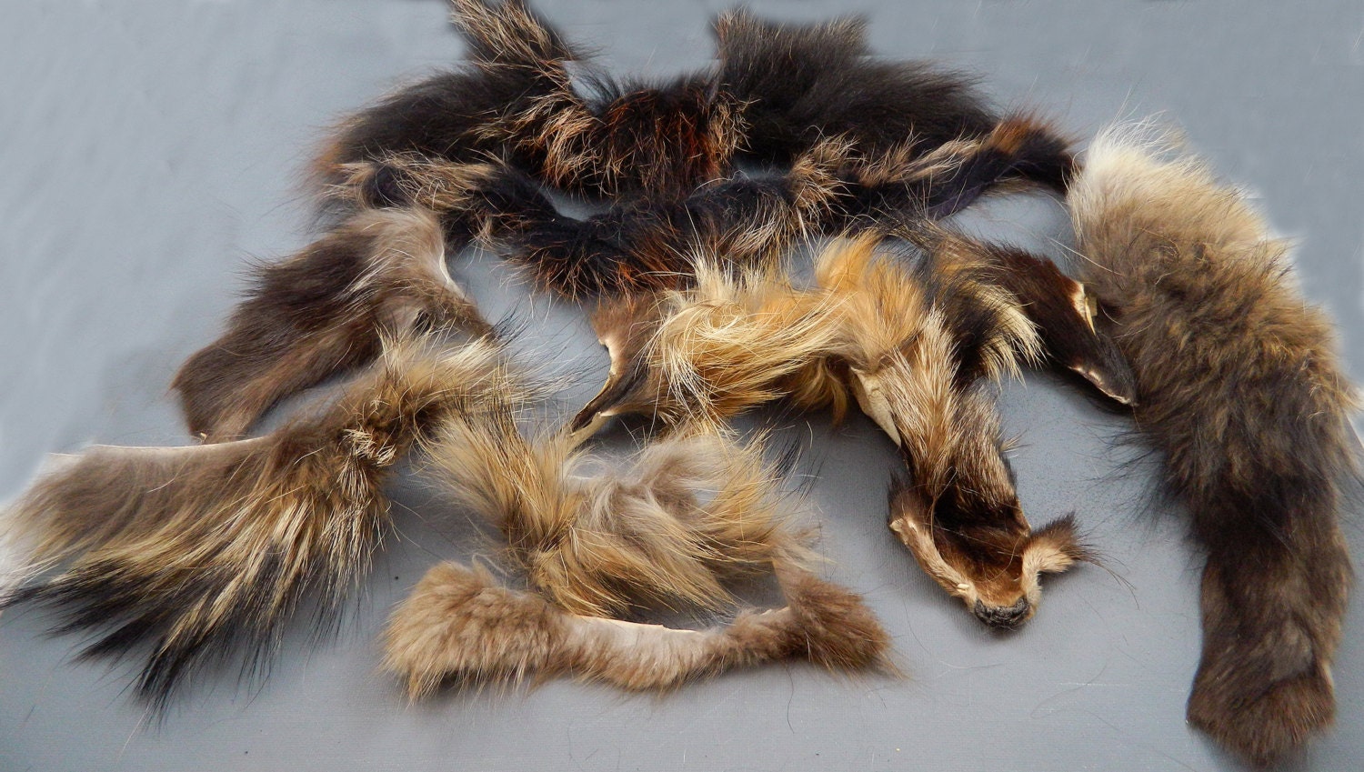 Fur Scraps MIXED Fox Raccoon Beaver MS14 Arctic Store Arktika Russia