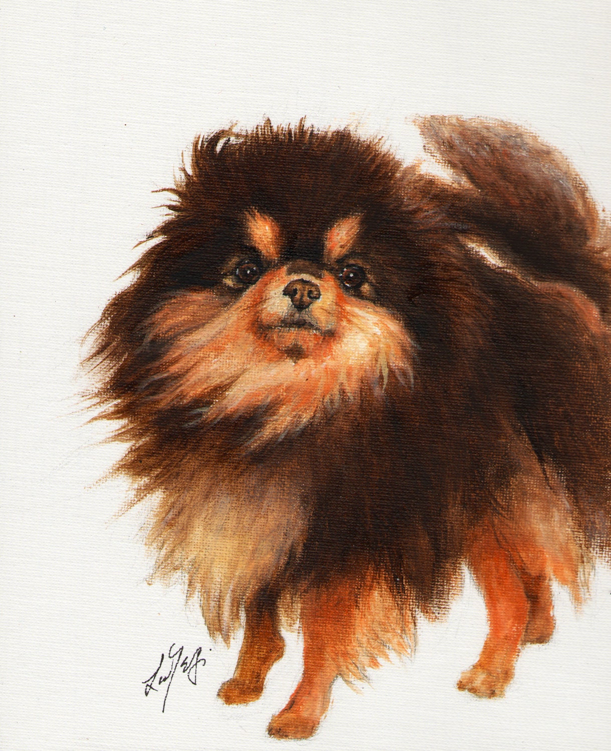 Original Oil Dog Portrait Painting POMERANIAN Artwork Art from Artist Signed Puppy