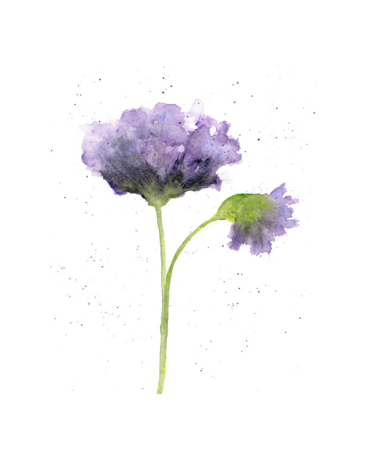 Watercolor flower, flower art, watercolor poppies, abstract flower painting, purple, botanical, flower print- 8X10