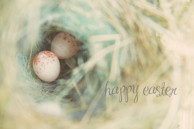 easter card, Happy Easter, 10x15cm blank photo card, premium quality