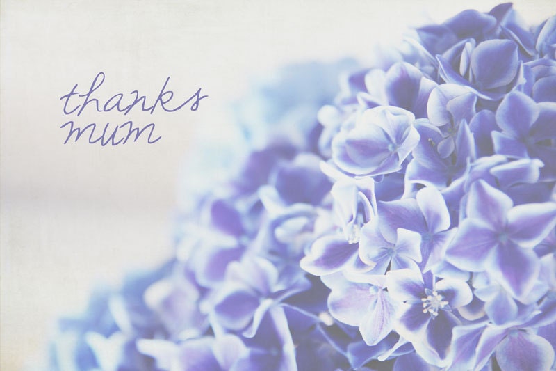 mothers day card, Thanks Mum, 10 x 15cm blank photo card, premium quality