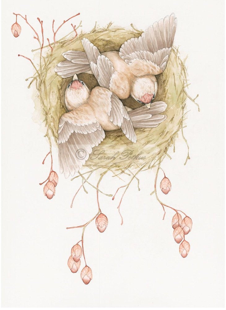 Spring- 11x14 archival nest art print