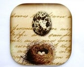 Bird's Nest  Coaster, Bird Eggs Coaster,  Brown Vintage Script, Shabby Chic Coaster, Nature Coasters