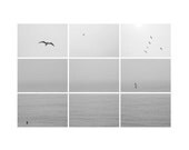 fine art 12x18 print collage seagals home decor wall art surfing surfer salt creek california