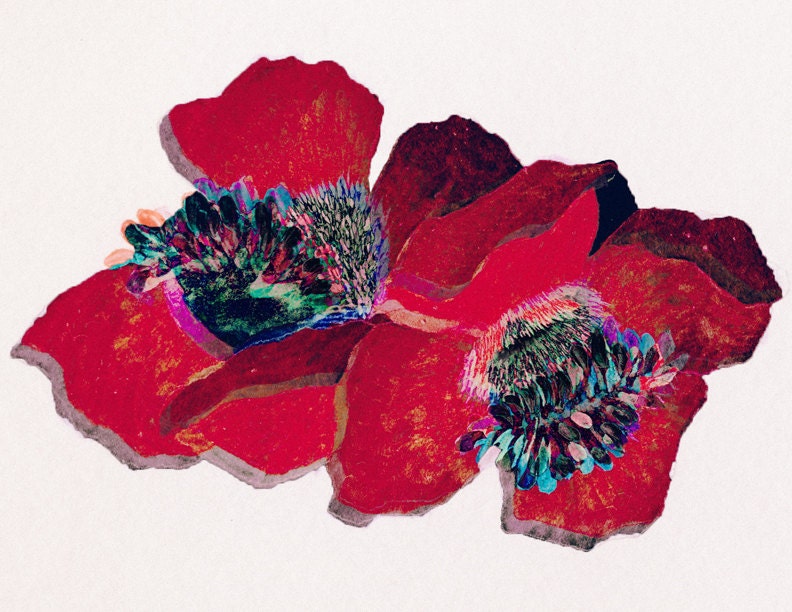 Glicee print- poppies- flower illustration.