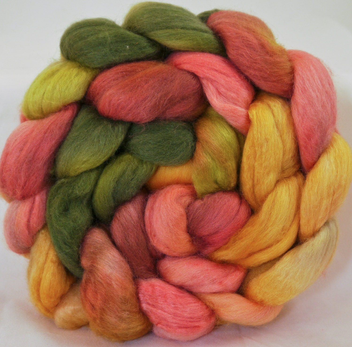 Fiber for Spinning - Parrot Tulip ( 4.1 oz. ) sw wool/ silk (80/20)