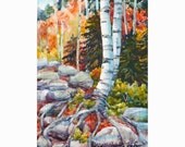 Birch Tree Painting Original Watercolor Landscape Art on Panel Janet Zeh