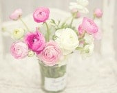 Mother's Day - Flower Photography - Pink & White Ranunculus Flowers - 8x10 Fine Art Photography Print - Pink White Home Decor - BLintonPhotography
