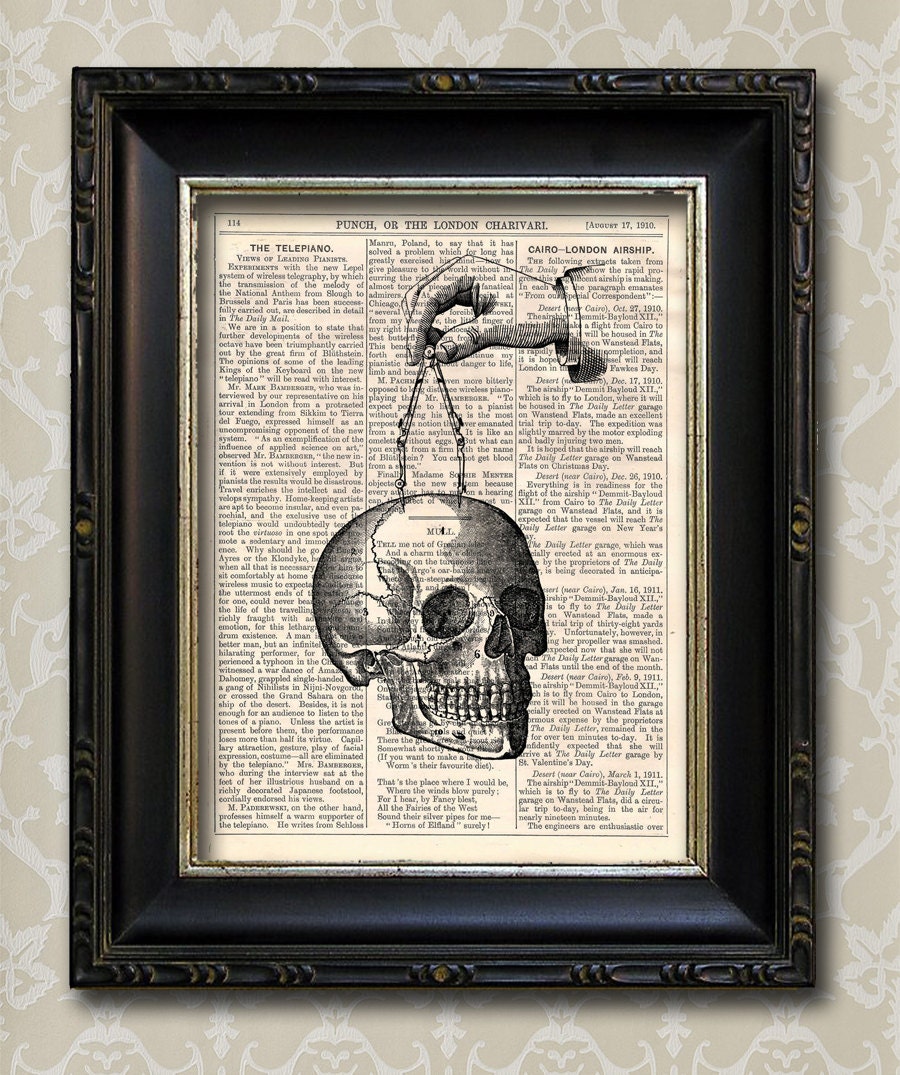 Skull Dimensions Vintage Print On An Antique Book Page - Recycled Book Page Anatomical
