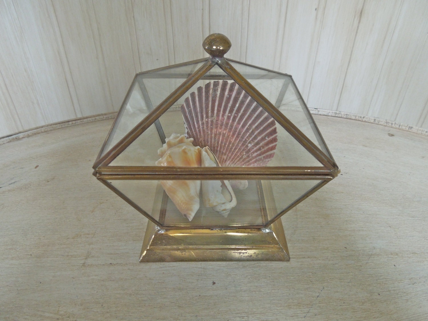 Vintage Glass and Brass Box Glass and Brass Terrarium Glass Dislplay Case