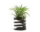 Steampunk Spring Air Plant Garden - Industrial Planter - Fathers Day Air Plant Terrarium