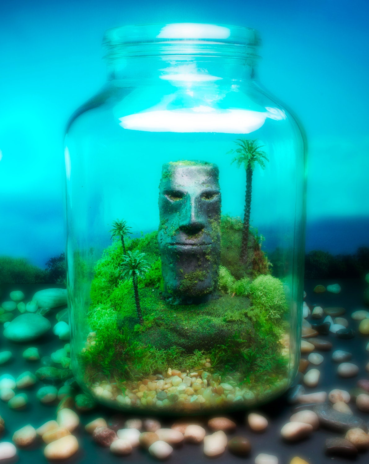 Easter Island Moai Terrarium - Exotic Moss Zen Garden