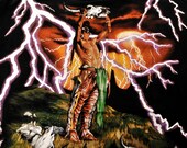 T-Shirt: Plains Warrior and Bison Skull