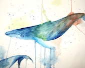 Watercolor Whale (print) - kelseyw1