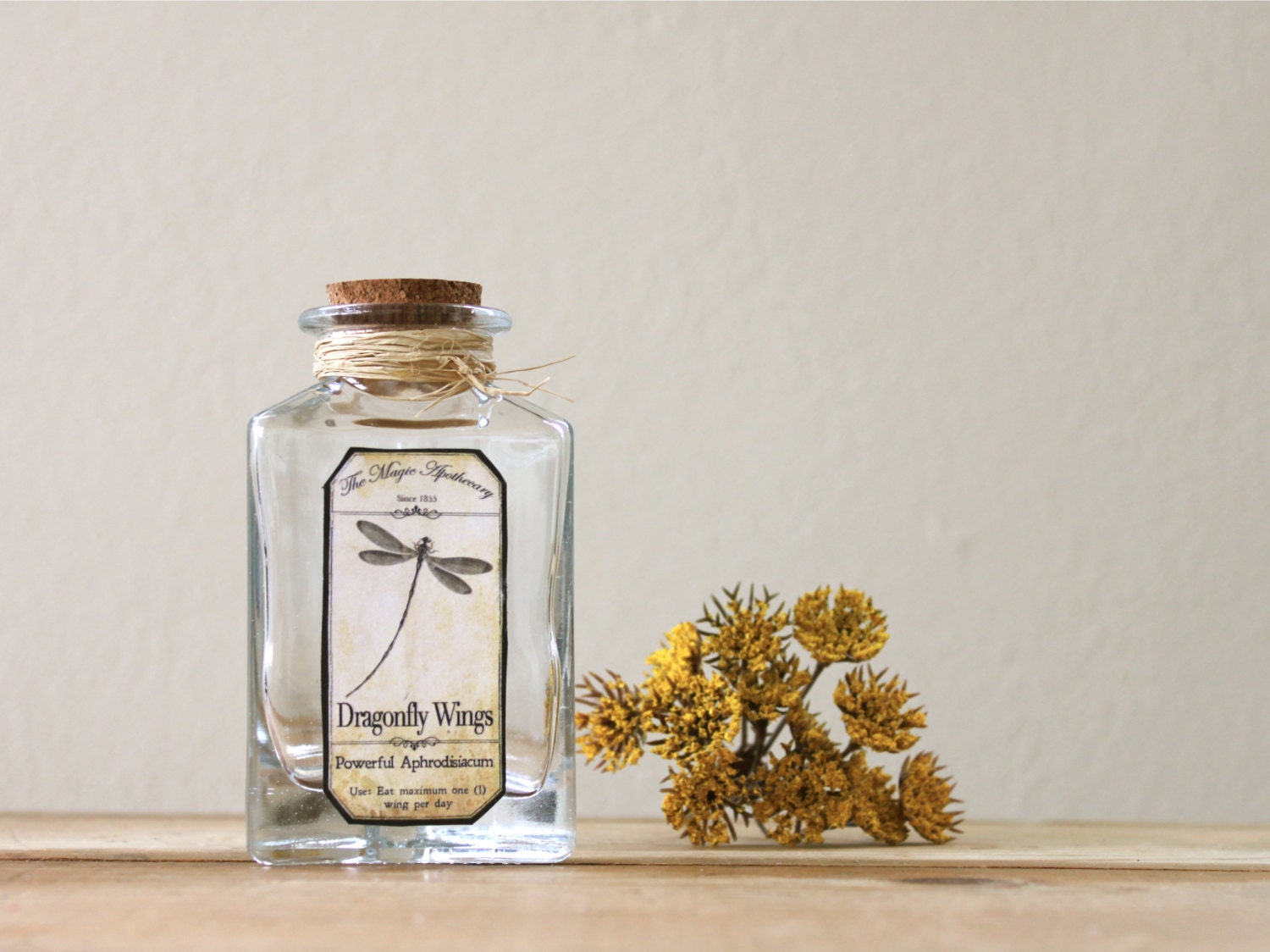 Dragonfly steampunk aphrodisiac magic apothecary bottle Dragonfly Wings